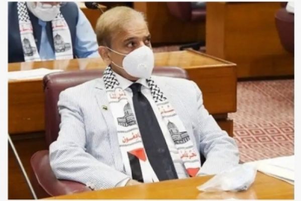 पैगंबर के खिलाफ टिप्पणी को लेकर पाकिस्तान ने बीजेपी पर साधा निशाना