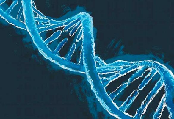 मौत के बाद कुछ जीन जिंदा रहते हैं
