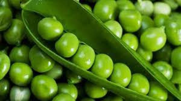  हर दिन हॉट सीट-26 जून