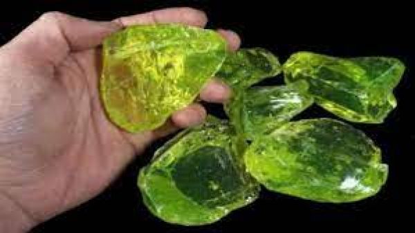 हर दिन हॉट सीट 28 जून