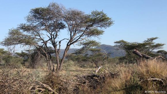 नामिबरैंड नेचर पार्क 