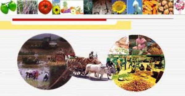 ऑनलाइन राष्ट्रीय कृषि बाजार