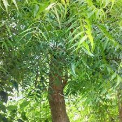 हर दिन हॉट सीट-15 जुलाई
