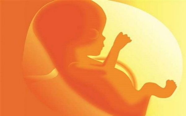 ‘छत्तीसगढ़’ का संपादकीय : इंसानी बदन के हिस्सों की खरीद-बिक्री, और कानून