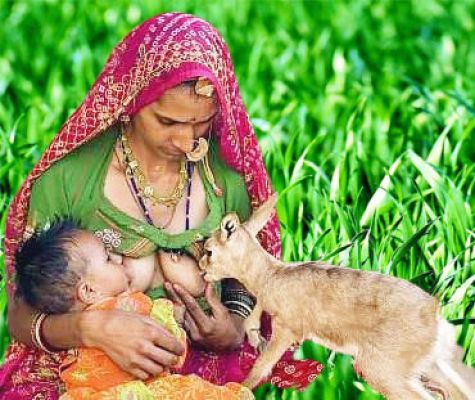 दैनिक 'छत्तीसगढ़' का पिक्सटून, 20 जुलाई 