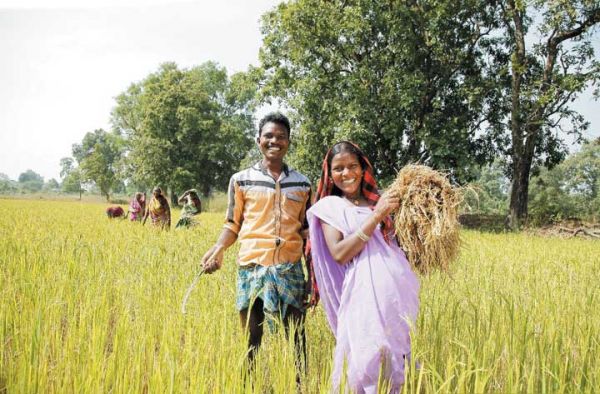 बालको परियोजना मोर जल मोर माटी से  2000 किसान लाभान्वित