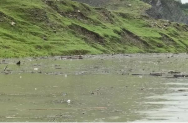 टिहरी झील में जहां-तहां फैला है कूड़ा-कचरा, एक दर्जन से अधिक पशुओं के शव भी
