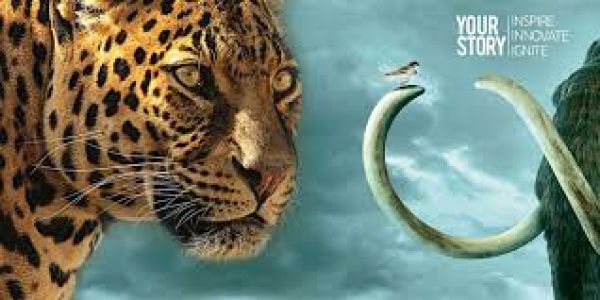  अंतरराष्ट्रीय बाघ दिवस कब मनाया जाता है?