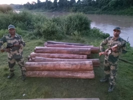 बीएसएफ ने मिजोरम से भारी मात्रा में अवैध सागौन की लकड़ी बरामद की