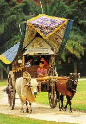 ग्रामीण क्षेत्र किसे कहते हैं?