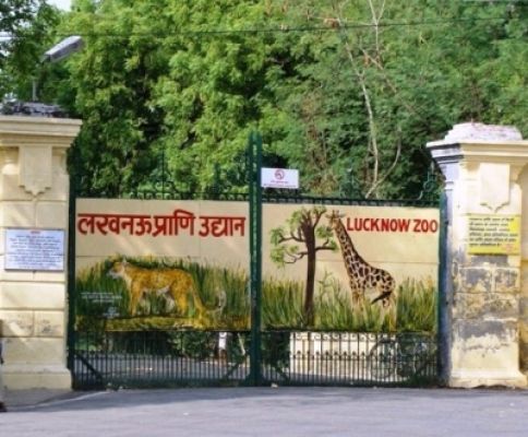 लखनऊ चिड़ियाघर की जगह बदलेगी, सैलानी वर्ल्ड क्लास नाइट सफारी का उठा पाएंगे लुत्फ