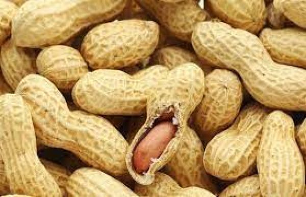 हर दिन हॉट सीट- 19 अगस्त