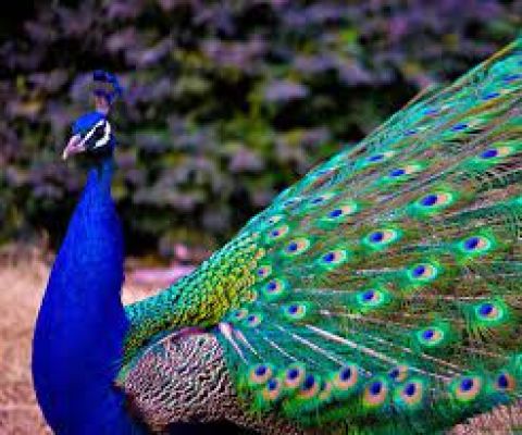 हर दिन हॉट सीट- 14 सितंबर