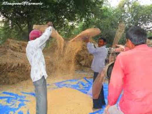 ओसौनी