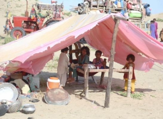 बाढ़ के बीच पाकिस्तान में आफत बना डेंगू, तेजी से बढ़ रहे मामले