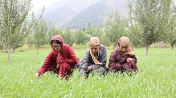 मध्य प्रदेश में प्राकृतिक खेती को बढ़ावा देने के लिए एनसीएनएफ से करार