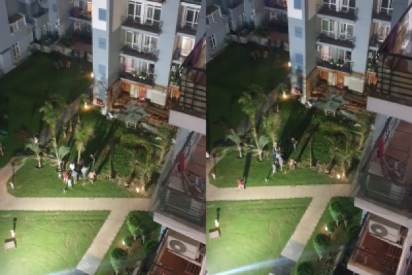 ग्रैंड ओमेक्स सोसाइटी का मामला : श्रीकांत त्यागी की पत्नी ने उखाड़े गए पेड़ फिर से लगवाए