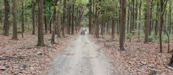 कॉर्बेट: पीएम मोदी के ड्रीम प्रोजेक्ट के लिए कटे हजारों पेड़