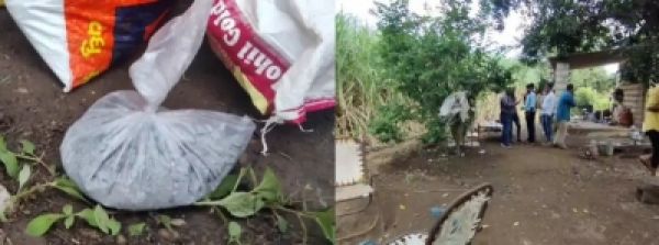 गुजरात जिले में एक परिवार ने दी नाबालिग बेटी की 'बलि'