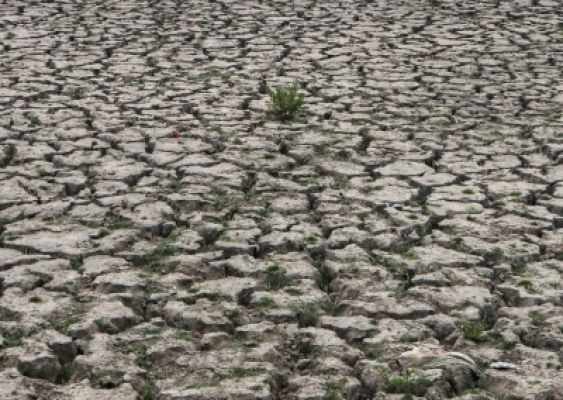 84 फीसदी भारतीयों का कहना है कि ग्लोबल वार्मिंग हो रही है
