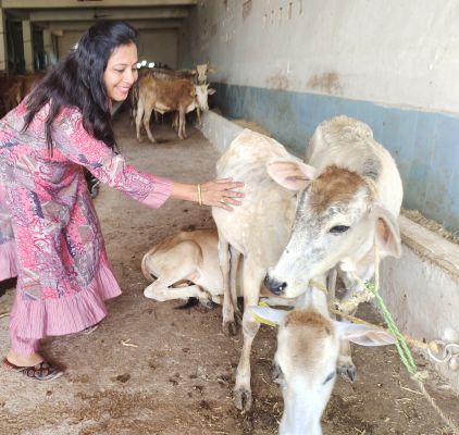 गोपाष्टमी विशेष : कामधेनु सौम्या पालती है 300 बेसहारा गायों को