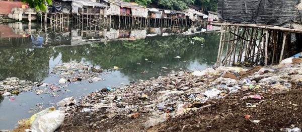 सिंगल यूज प्लास्टिक पर लगा प्रतिबंध फेल क्यों हो रहा है?