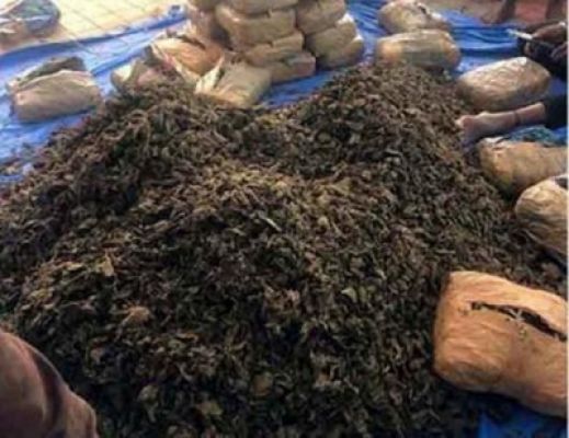 गोवा में गांजे के साथ युवक गिरफ्तार