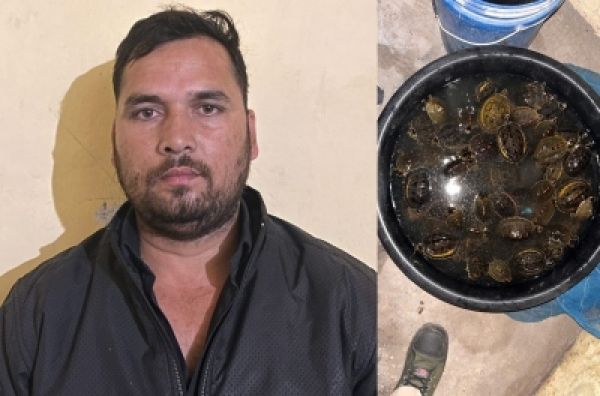 एसटीएफ ने 155 कछुओं के साथ एक को किया गिरफ्तार