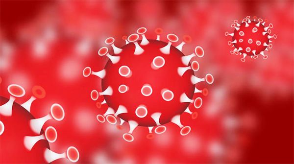 महामारी का स्कूली शिक्षा पर पड़े  प्रभाव पर ‘असर’ की रिपोर्ट