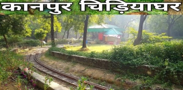 कानपुर चिड़ियाघर में चोरी, 6 लाख उड़ाए