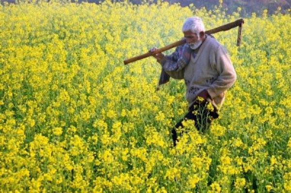 बजट में ग्रामीण अर्थव्यवस्था पर कम ध्यान, पुनरुद्धार में समय लगेगा