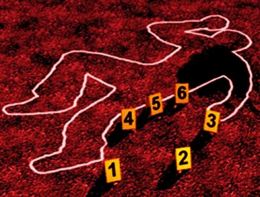 मामी के साथ अवैध संबंधों में बाधा बने मामा को उतारा मौत के घाट