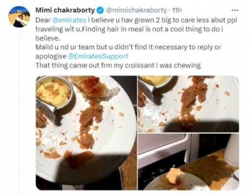 तृणमूल कांग्रेस सांसद ने की अमीरात एयरलाइंस की फ्लाइट के खाने में बाल मिलने की शिकायत