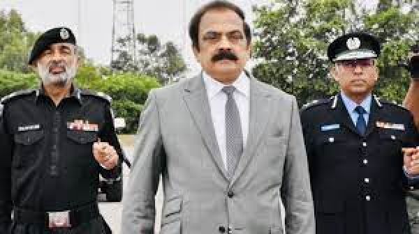 पाकिस्तान के गृह मंत्री का दावा - पुलिस से बचने के लिए इमरान ख़ान दीवार फांद कर पड़ोसी के घर छिपे थे