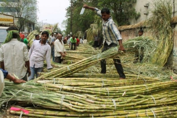 किसानों को गन्ने के भुगतान में नया कीर्तिमान स्थापित करेगा यूपी