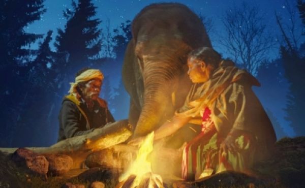 'द एलिफेंट व्हिस्पर्स' के निर्माता ने कहा, ओटीटी ने भारतीय सिनेमा की छवि को निखारा