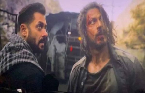 'टाइगर 3' में सलमान-शाहरुख के एक्शन सीन के लिए बनेगा बड़ा सेट