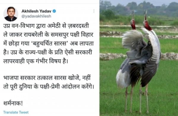दोस्त से दूर ले जाया गया सारस यूपी पक्षी विहार से लापता