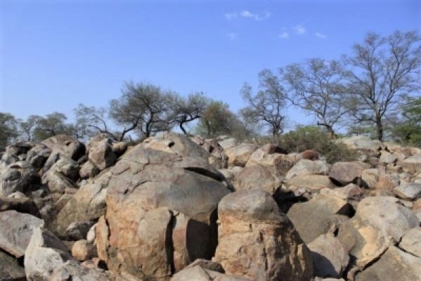 ज्यादातर भारतीयों को है ग्लोबल वॉर्मिग की चिता: रिपोर्ट 