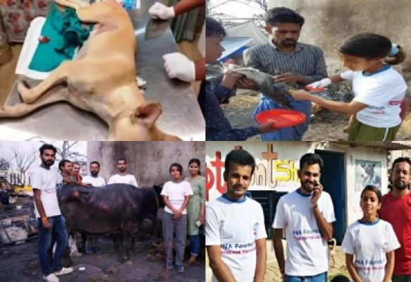 बेजुबानों के लिए 'अपना' बन गया है अपना फाउंडेशन, 100 से अधिक बेजुबानों को दिया आसरा