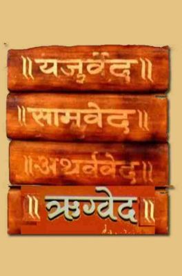 सनातनी कौन है ?