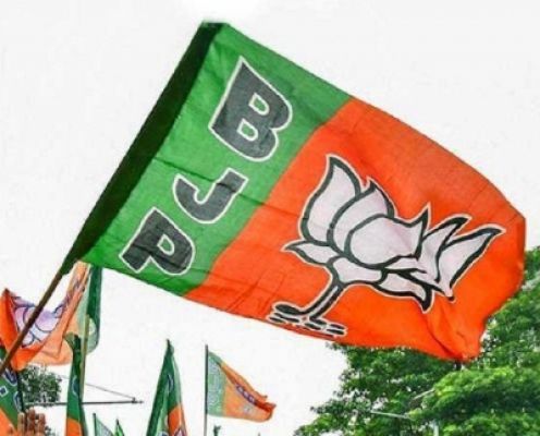 राष्ट्रीय मुद्दों और केंद्र सरकार के कामकाज पर लड़ा जाएगा लोक सभा चुनाव, नहीं पड़ेगा कर्नाटक के नतीजों का असर - भाजपा