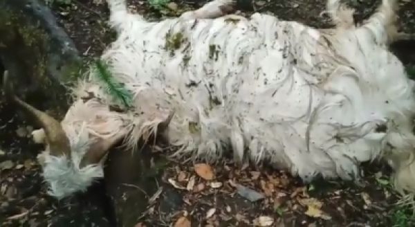 मंगलवार रात आंधी से हरिद्वार में कहर, 3 की मौत, चट्टान गिरने से यमुनोत्री मार्ग बाधित