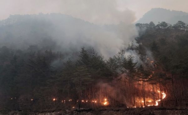 कनाडा के जंगलों की आग के धुएं के कारण 120 मिलियन से अधिक अमेरिकी प्रभावित