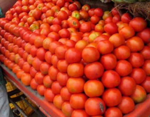 जयपुर में 150 किलो टमाटर की चोरी