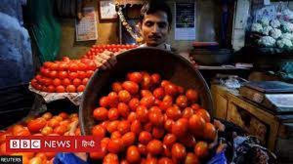 टमाटर नहीं, खीरों की तस्करी