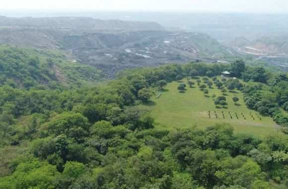 पांच सालों में हम लगाएंगे 26 लाख पौधे-एसईसीएल 