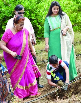 वृक्षारोपण का महत्व और पर्यावरण प्रतिबद्धता समझाने एटी ग्रुप ने अभनपुर में लगाए 250 पौधे