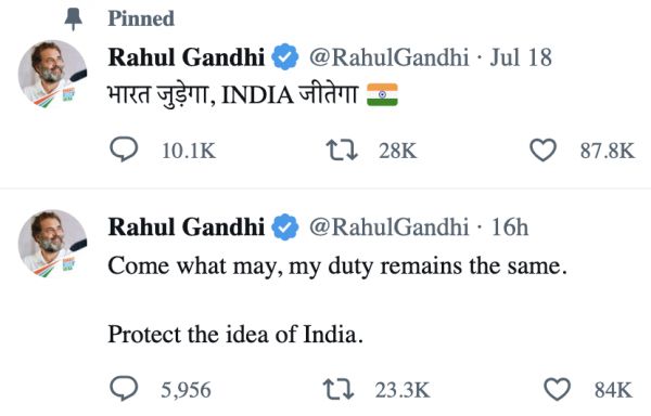 चींटी मारने हथोड़े का इस्तेमाल