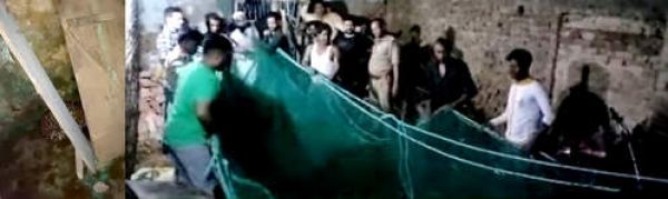 बिजनौर : घर में घुसा तेंदुआ, वन विभाग ने किया रेस्क्यू